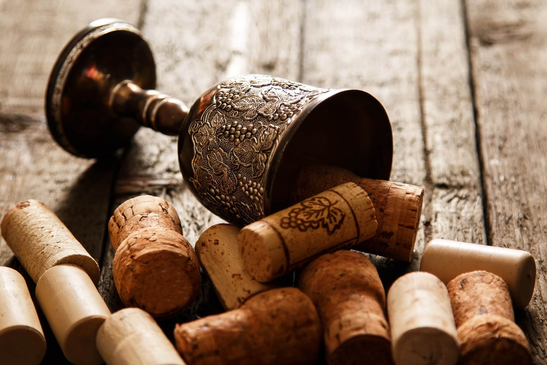 The Ancient History of Wine