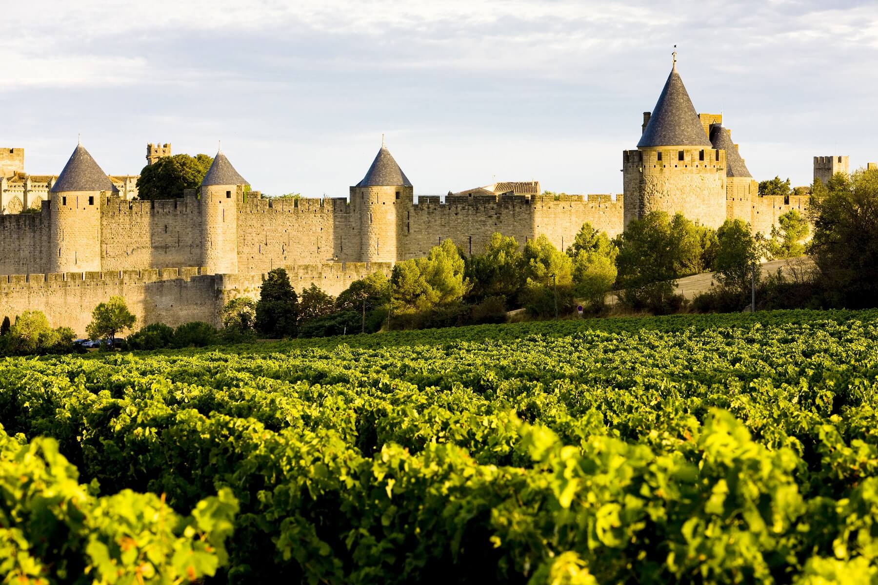 4 French Wines You’ve Never Heard Of!