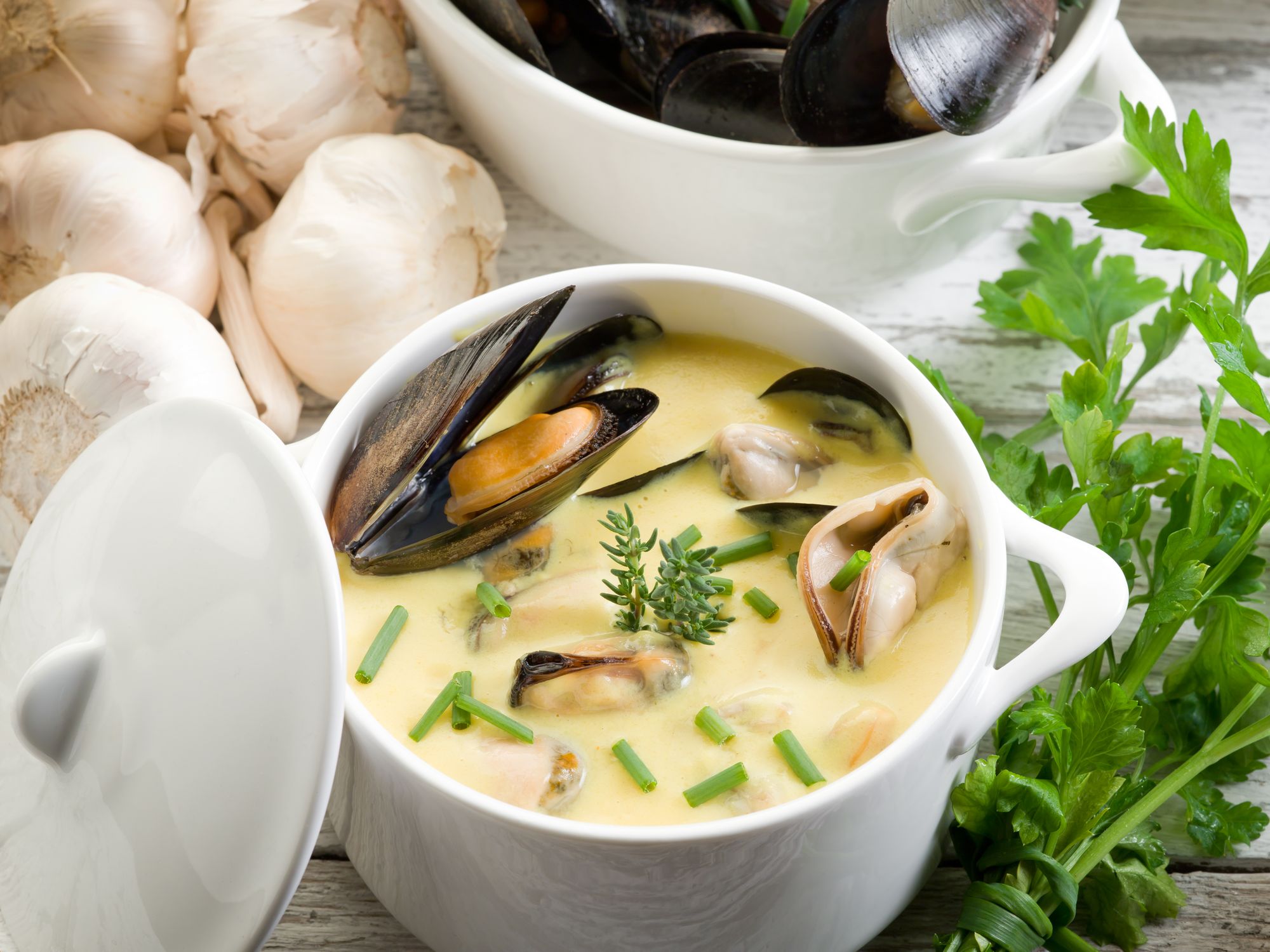 Summer Vegetable and Mussel Soup