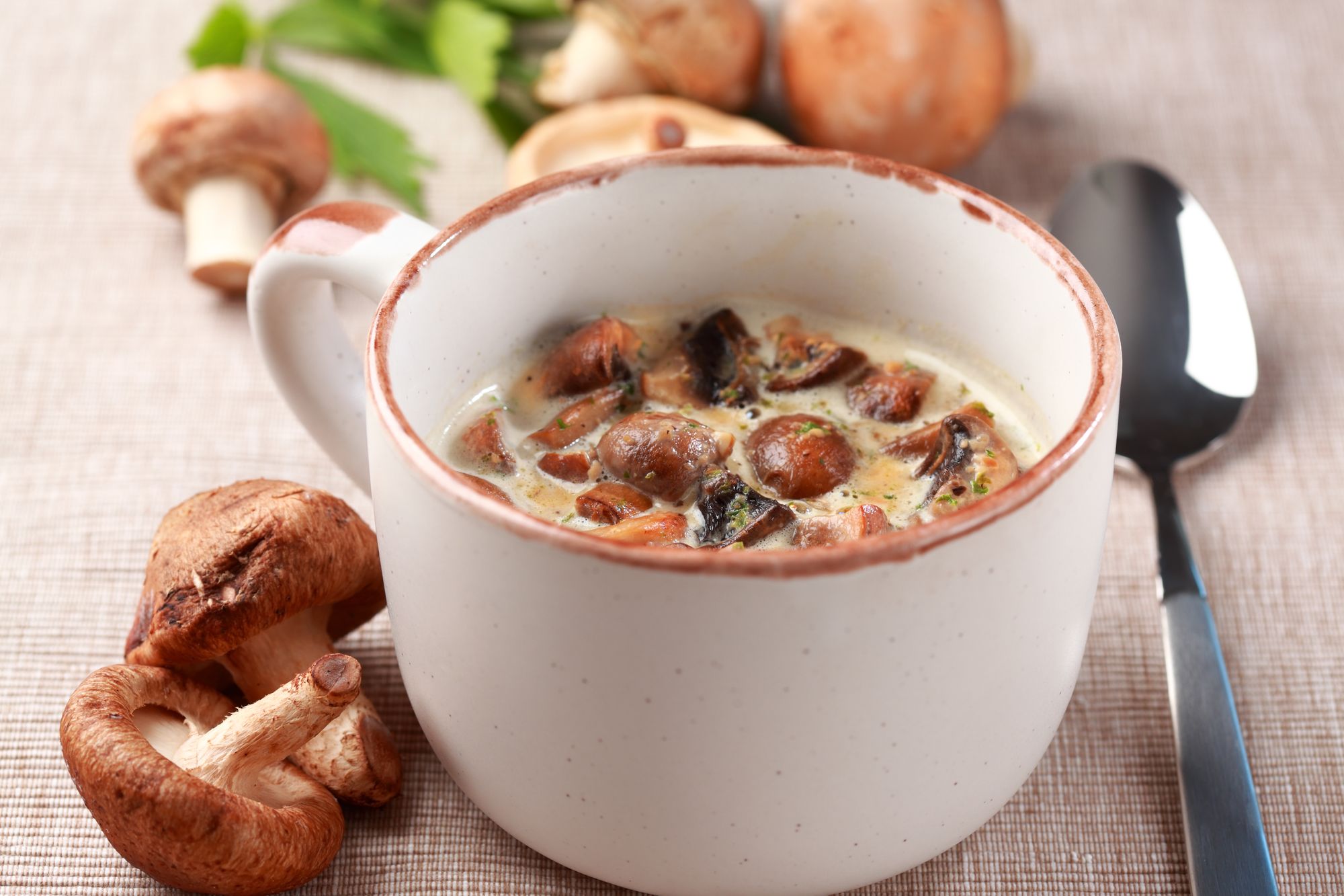 Wild Mushroom and Hazelnut Soup