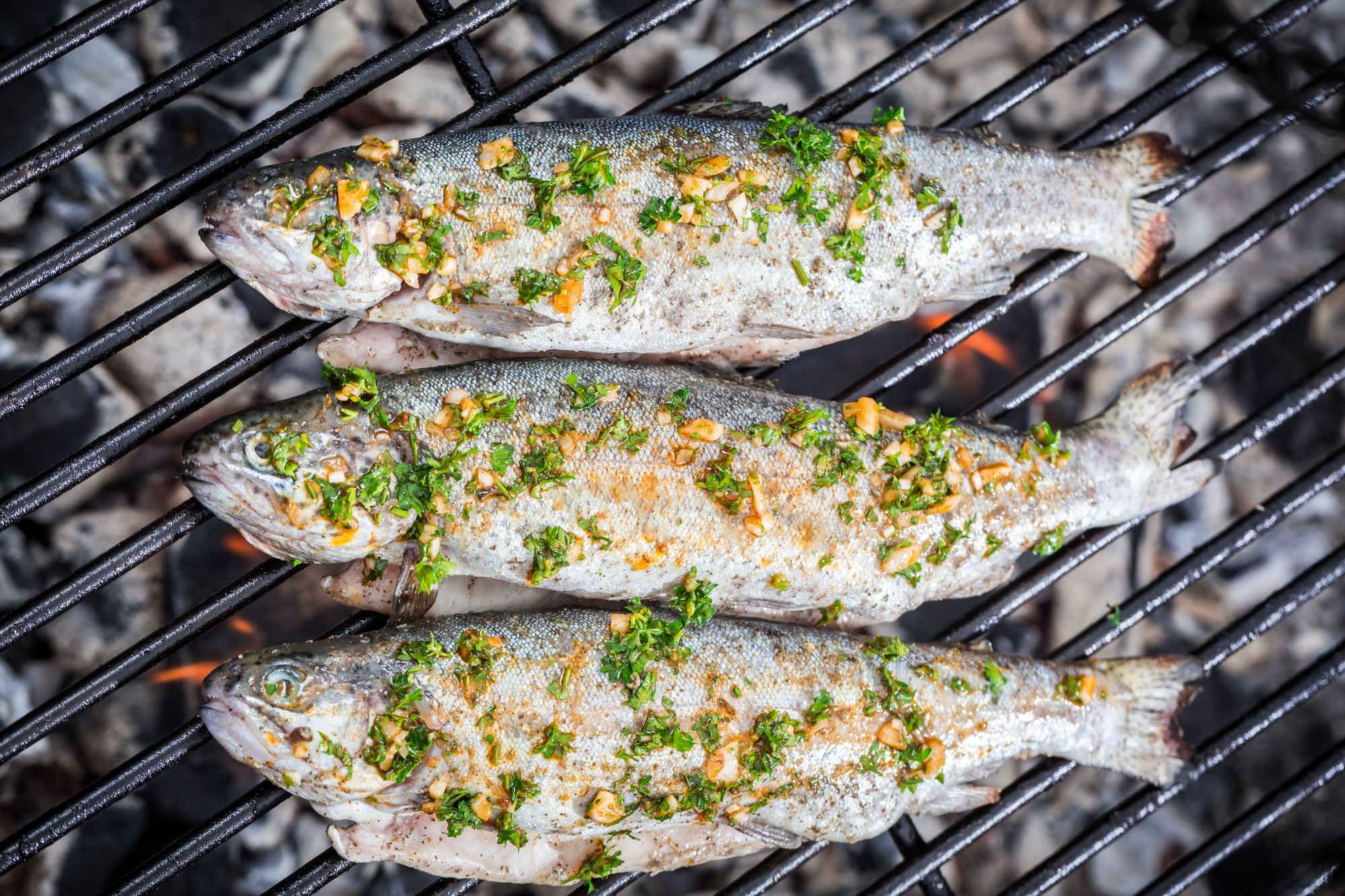 Fennel and Herb Barbecued Snapper