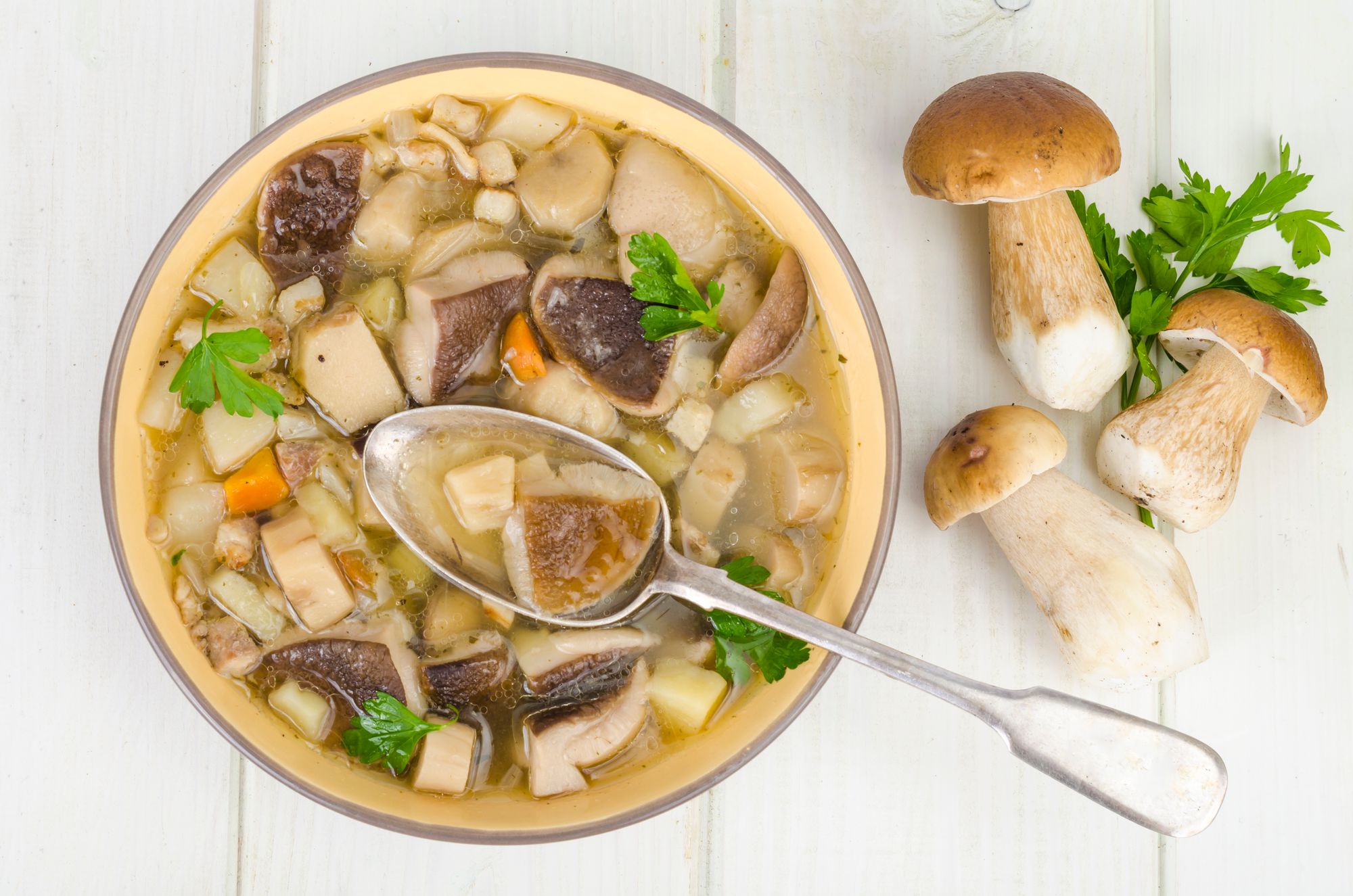 Porcini and Potato Soup