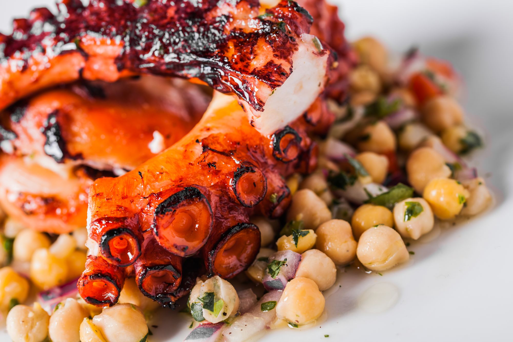 Squid Salad with Chorizo and Chickpeas