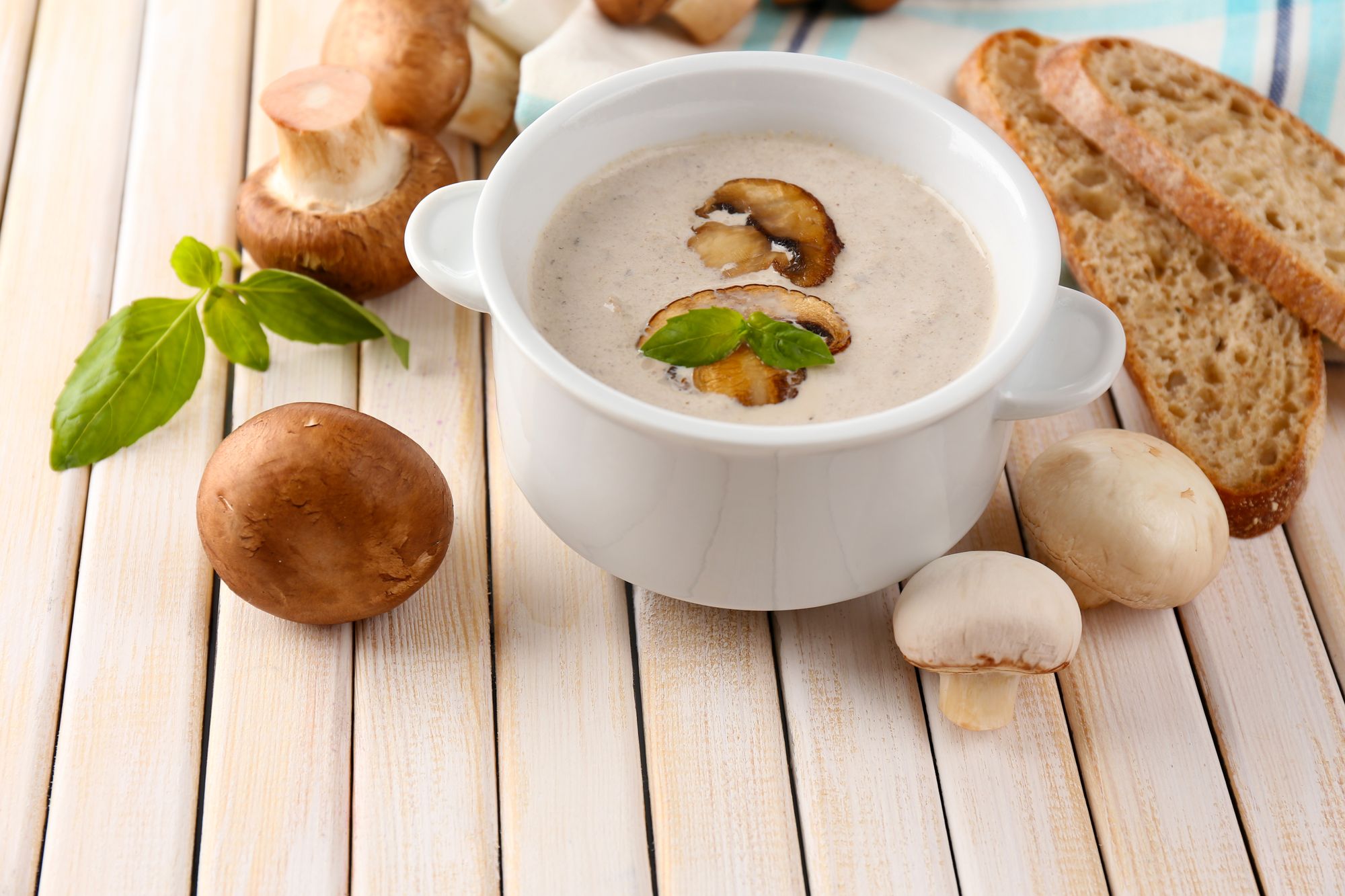 Georgian Walnut and Mushroom Soup