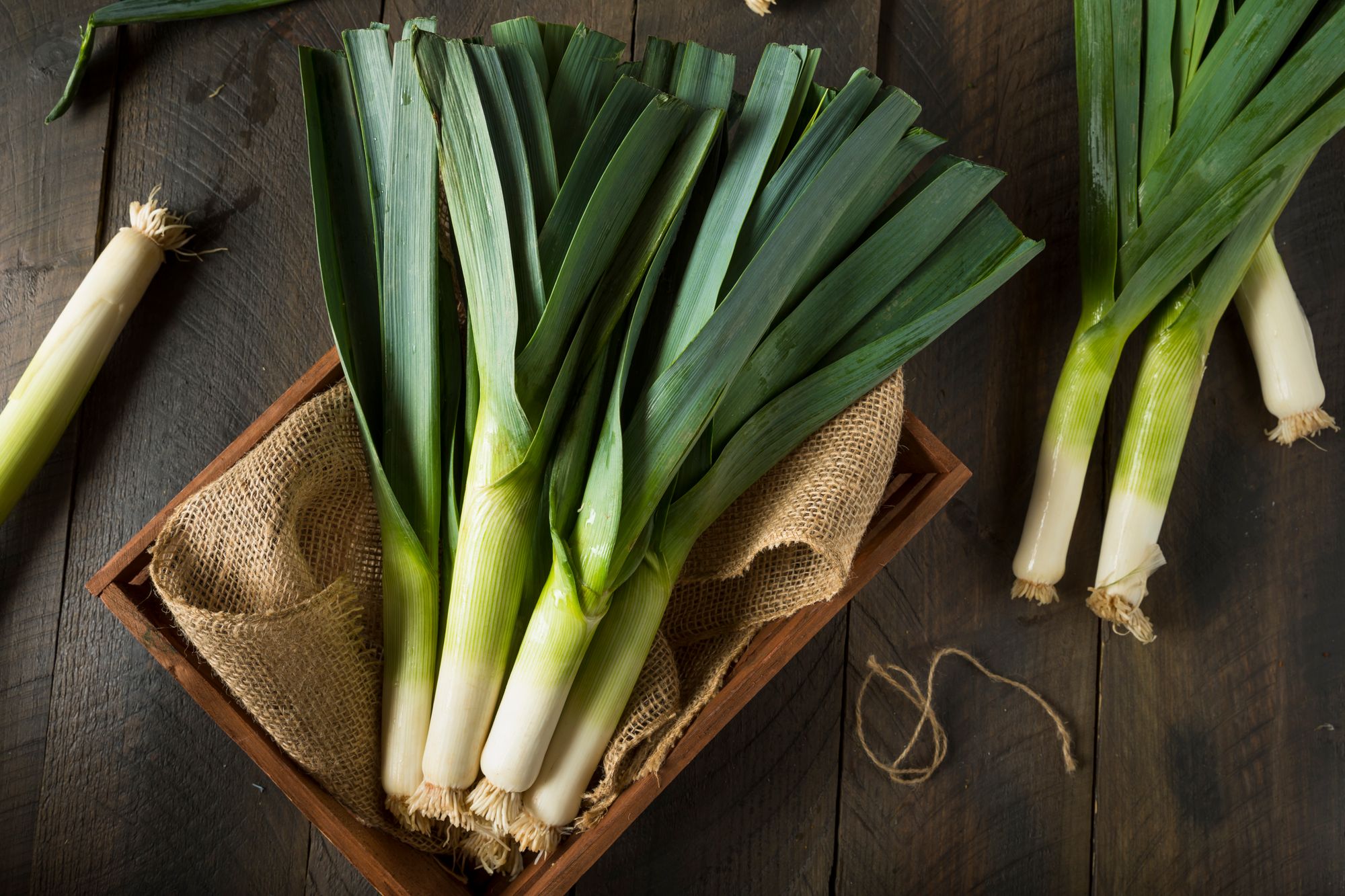 Leeks with Truffle, Hazelnut and Brown Butter Side