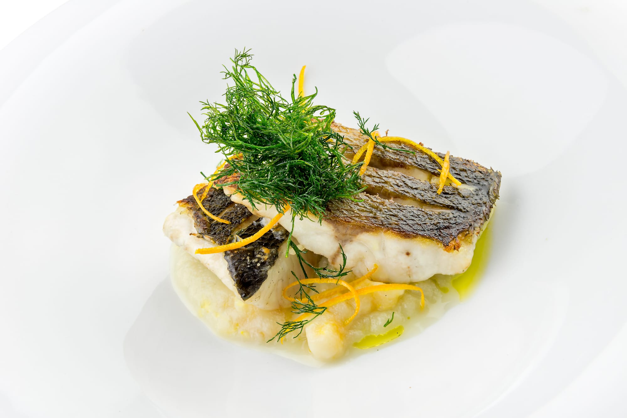 Sea Bass with Fennel Sauce