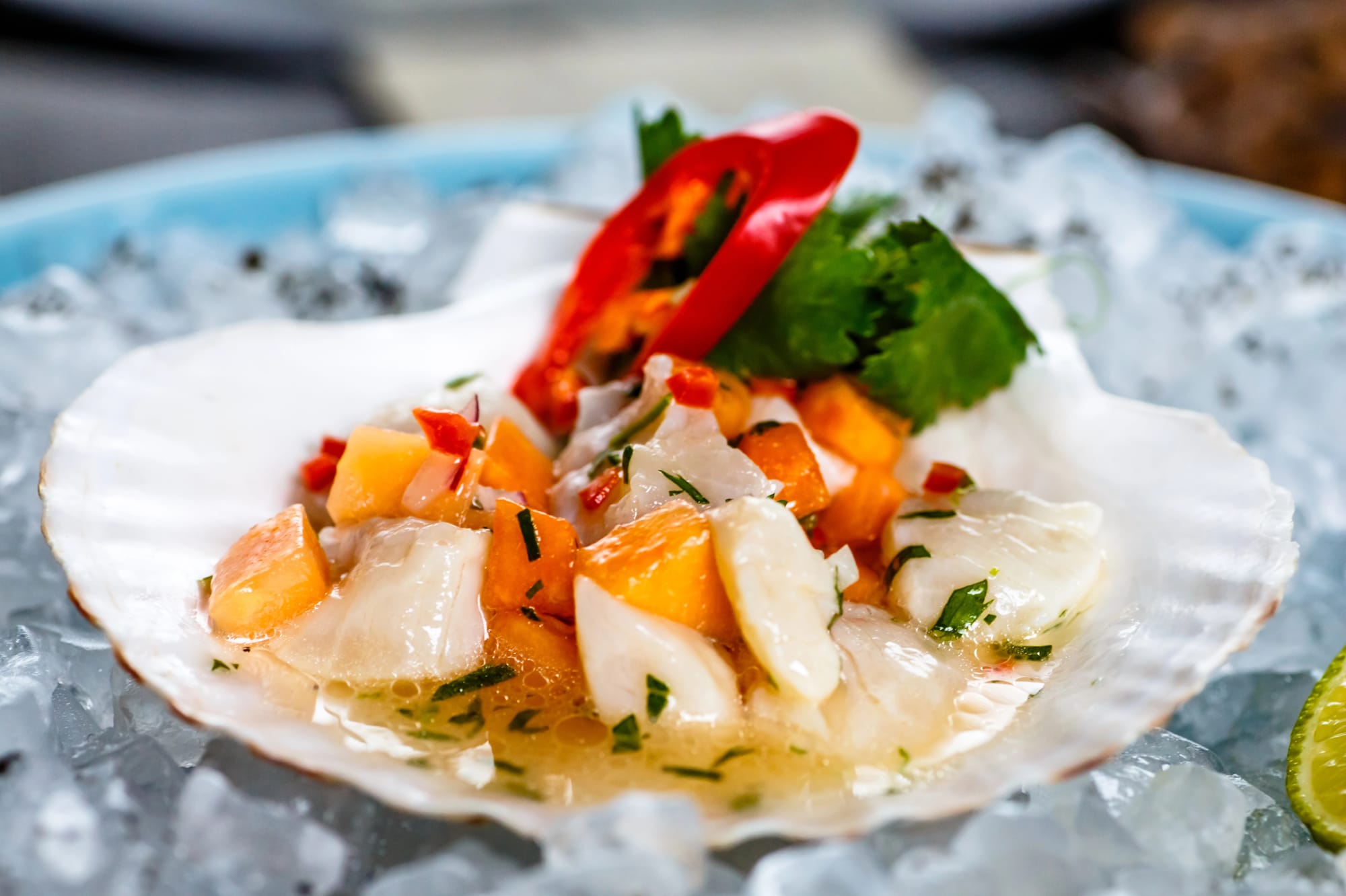 Scallop, Tuna and Salmon Ceviche