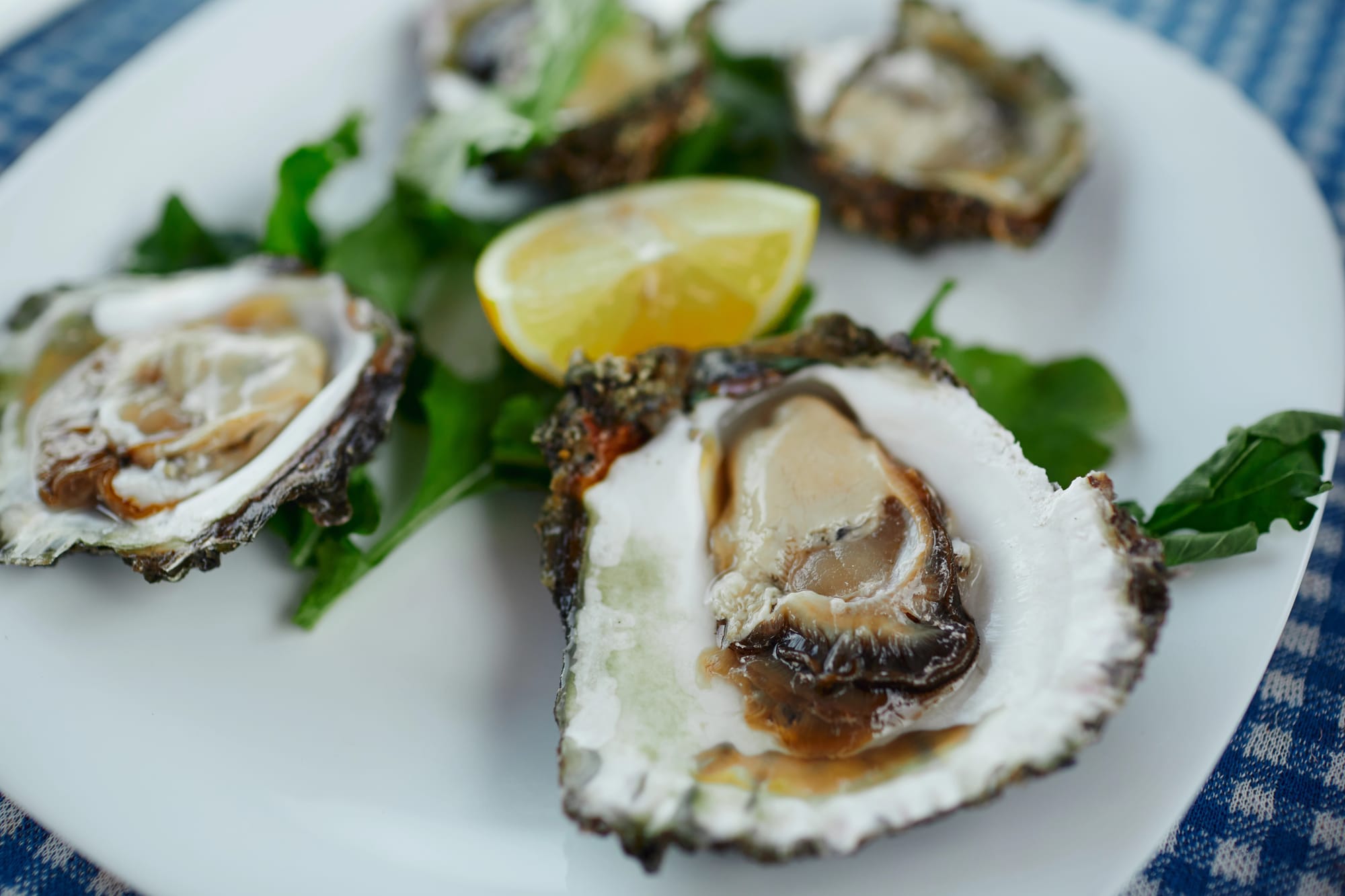 Oysters with Horseradish Dressing