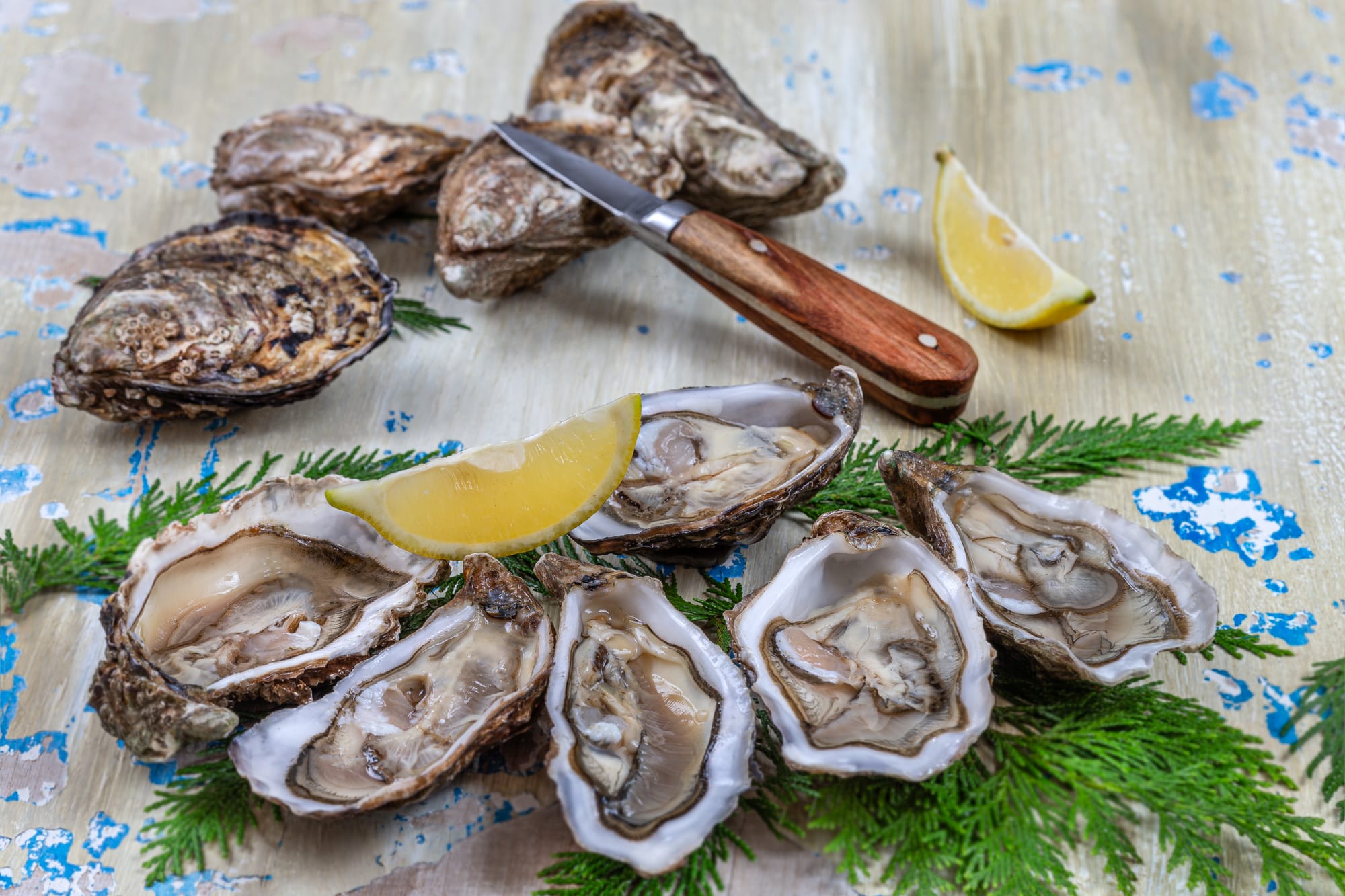 Soy Mignonette Oysters