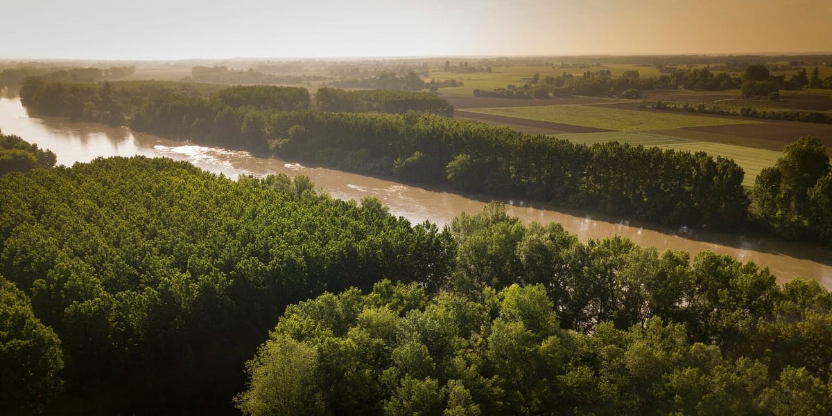 Chateau Richotey Virecourt 