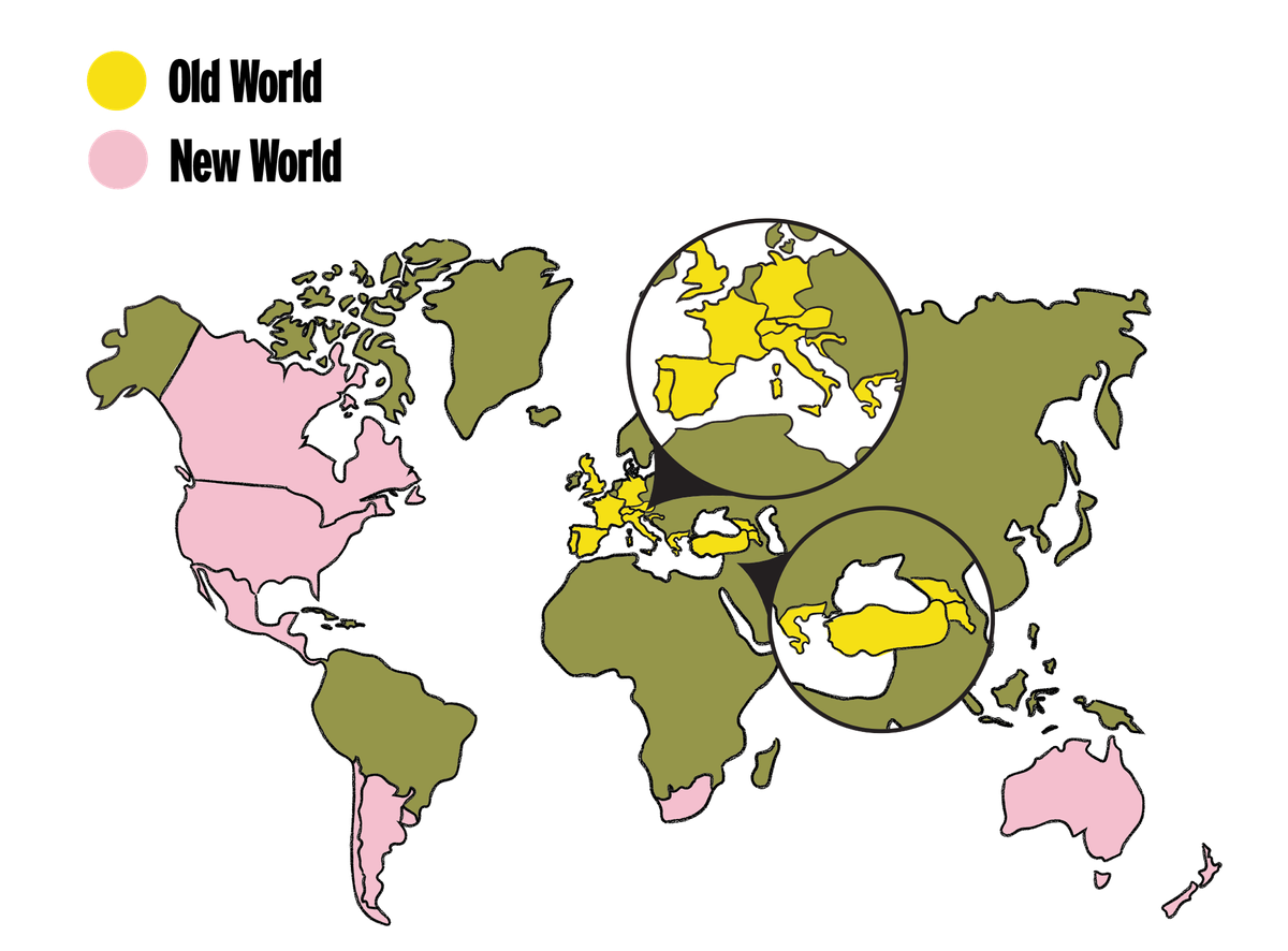 Chapter 4 Old World vs New World 👴🏼🍷👶🏼