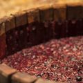 How Wine Is Made: A Brief Overview