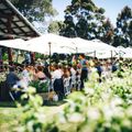 8 Awesome Aussie Wine Events to Add to Your Calendar