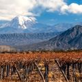 A Brief History of Argentina’s Wines