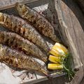 Lemon and Rosemary Barbecued Bass