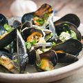 Mussels with Wine and Fennel