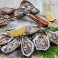 Soy Mignonette Oysters